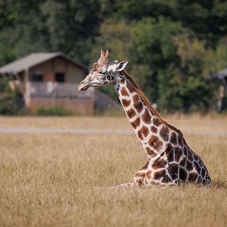 Knuthenborg Safaripark Hotel Maribo Exterior photo